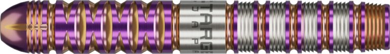 TARGET JAPAN ENDEAVOUR G2 2BA 佐藤かす美モデル